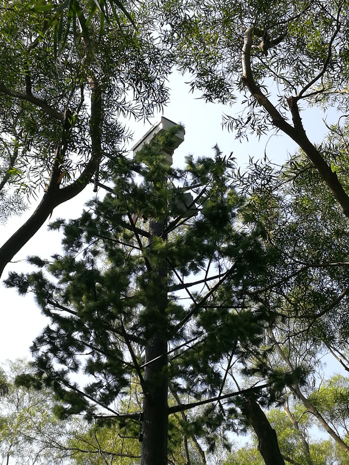 ?森林火災(zāi)風(fēng)險普查工作任重而道遠(yuǎn)，華瑞通發(fā)揮行業(yè)優(yōu)勢